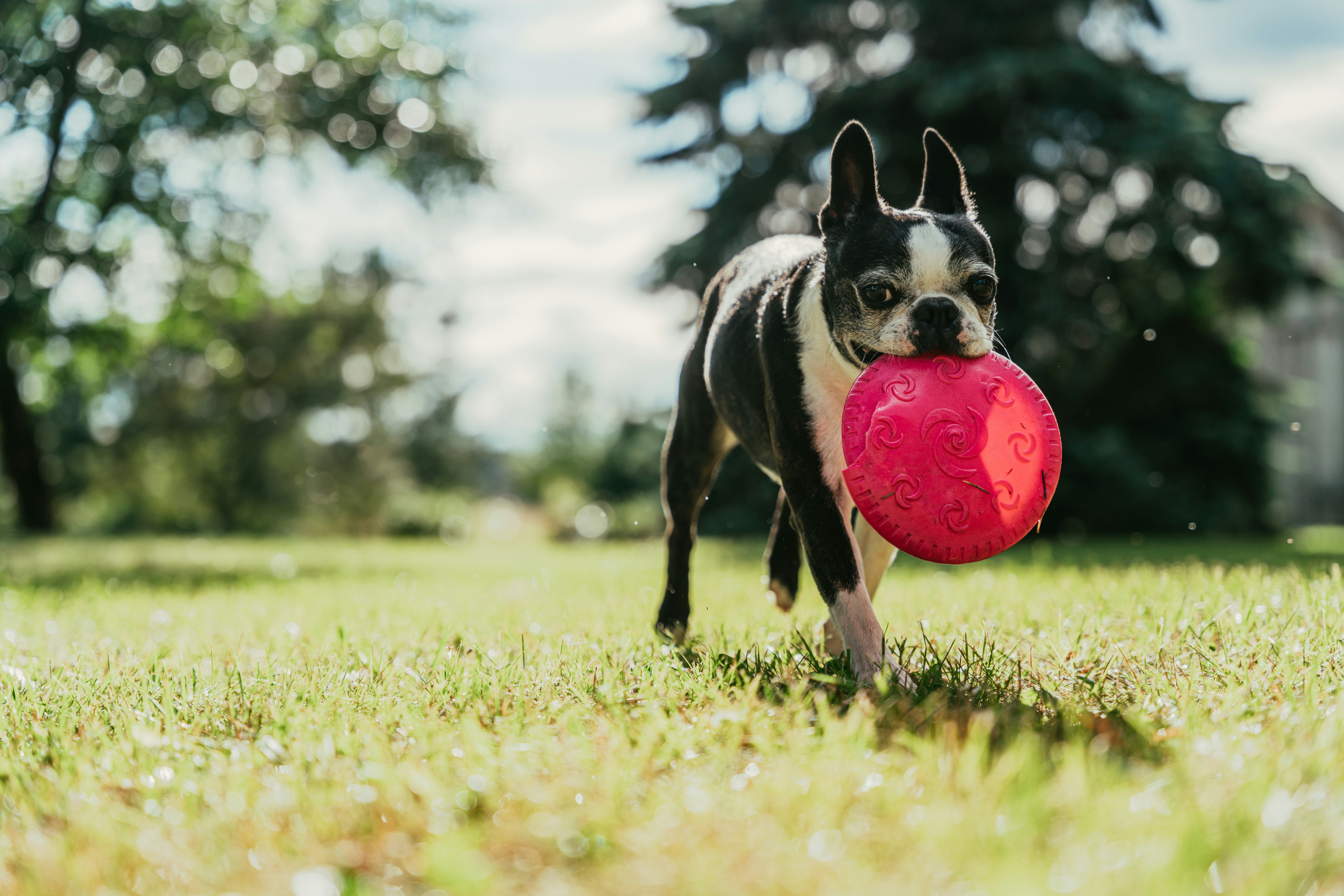 oskar-kadaksoo-PJoo7KF41A0-unsplash
